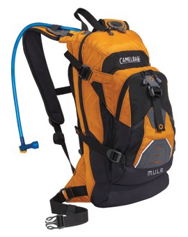 2010 Camelbak MULE